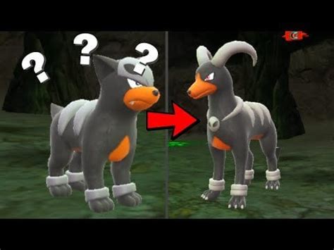how to evolve houndour roblox.